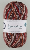 WYS - Signature 4 Ply - Country Birds - 941 Robin
